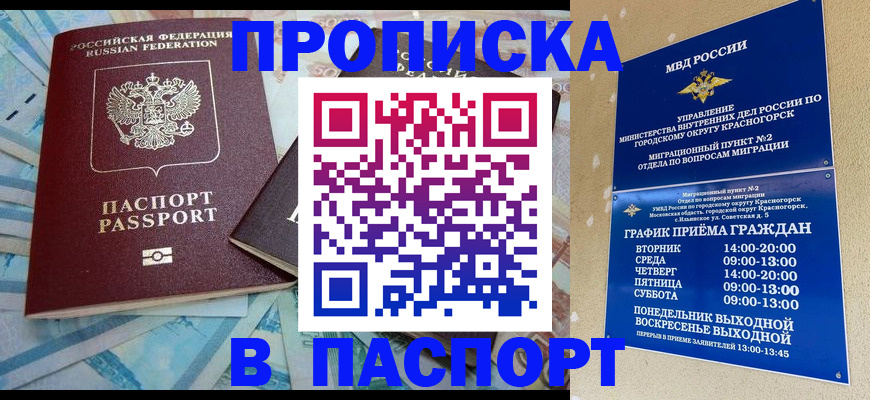 найти адрес прописки в Торопеце